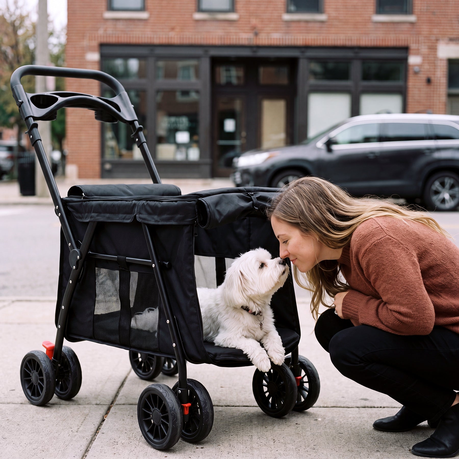 Folding Dog Stroller for 2 Small Dogs – Black