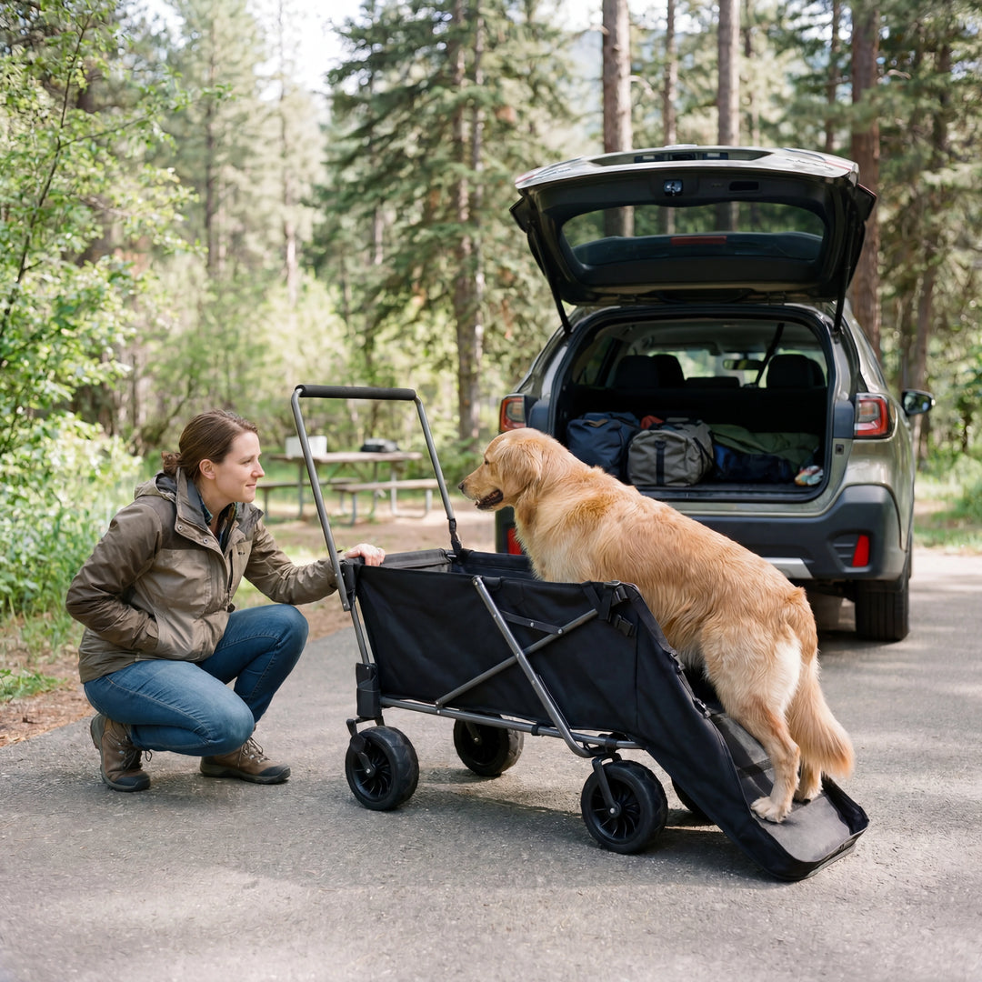 Folding Dog Wagon for Large Dogs with Extendable Rear/ Canopy