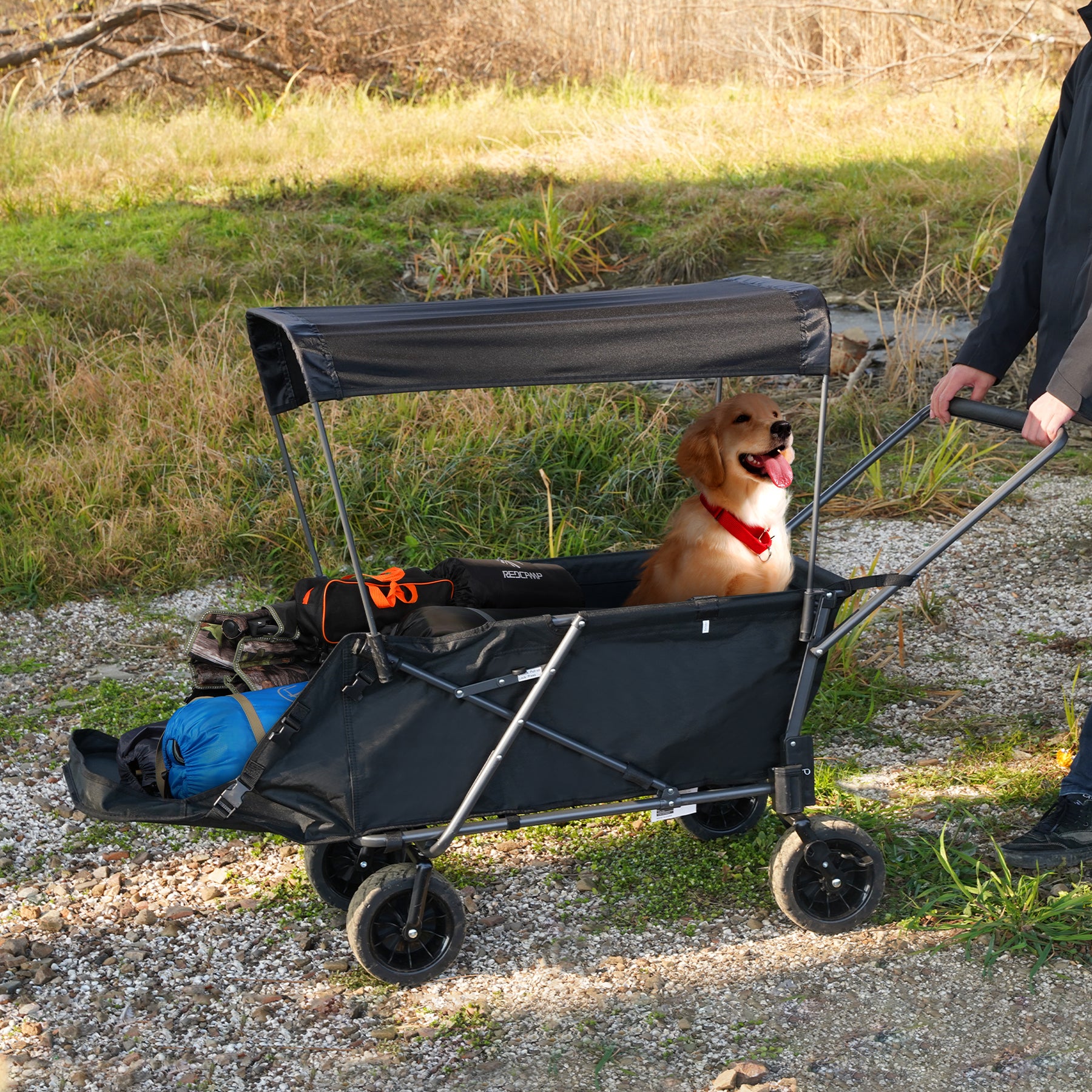 Folding Dog Wagon Cart with Extendable Rear End Heavy Duty