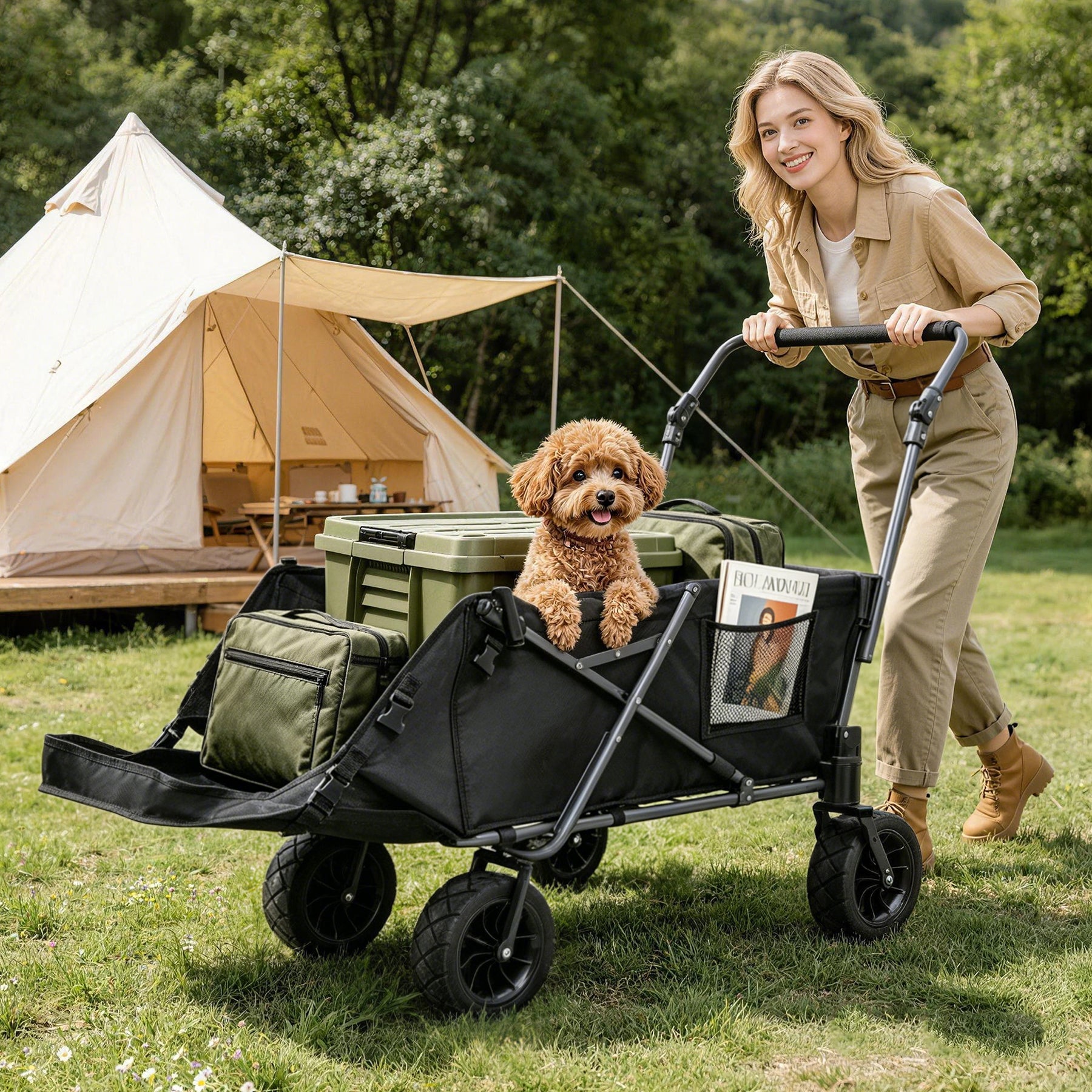 Chariot pour chiens de grande taille
