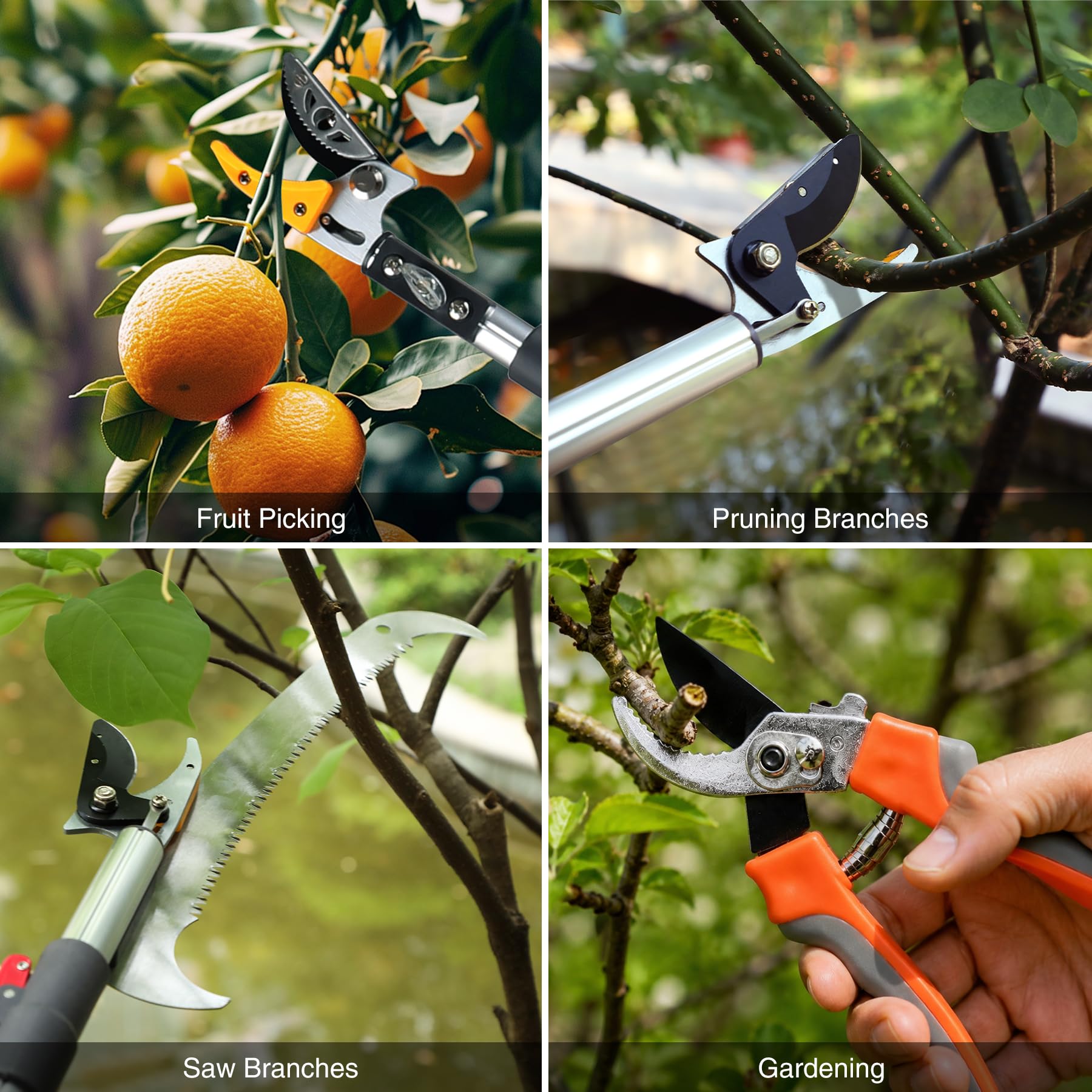 REDCAMP telescoping pruning tool set fruit picking and branch pruning scenes
