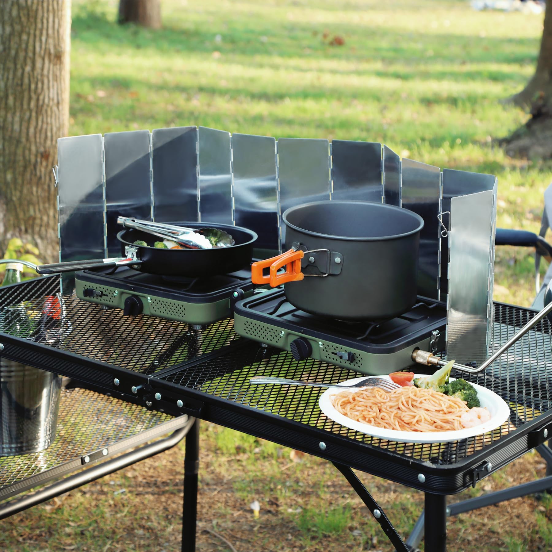 2 Burner Camping Stove with Windscreen